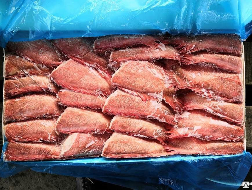 Окунь морской свежемороженый 300-500